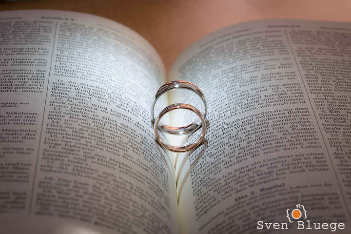 Ein Foto aus dem Album