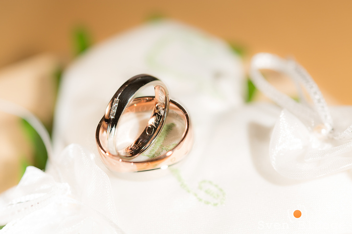 Ein Foto aus dem Album