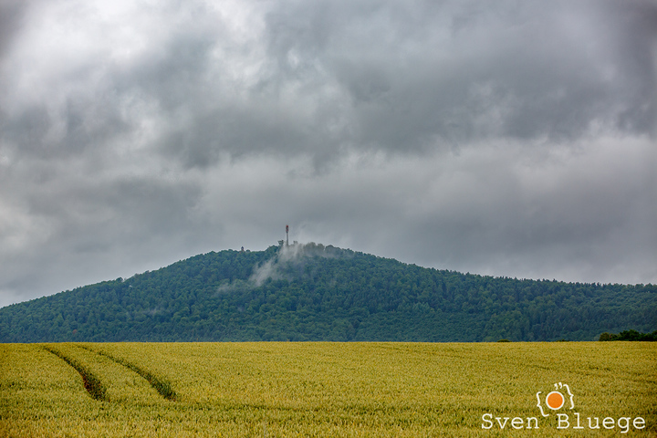 Ein Foto aus dem Album