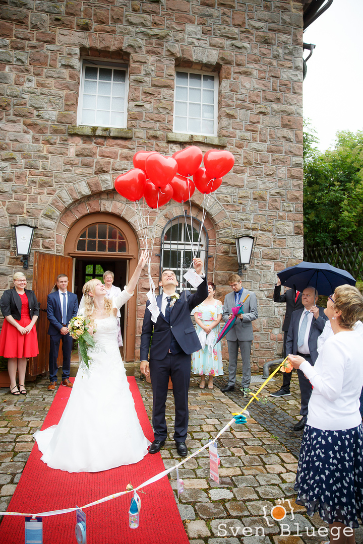 Ein Foto aus dem Album