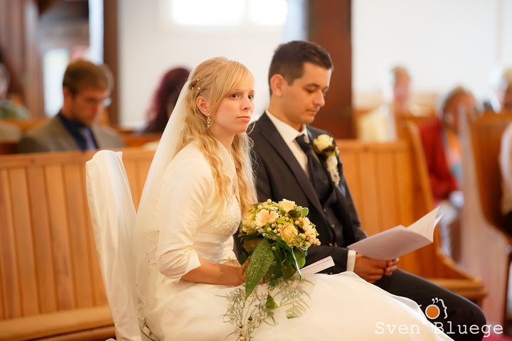 Ein Foto aus dem Album