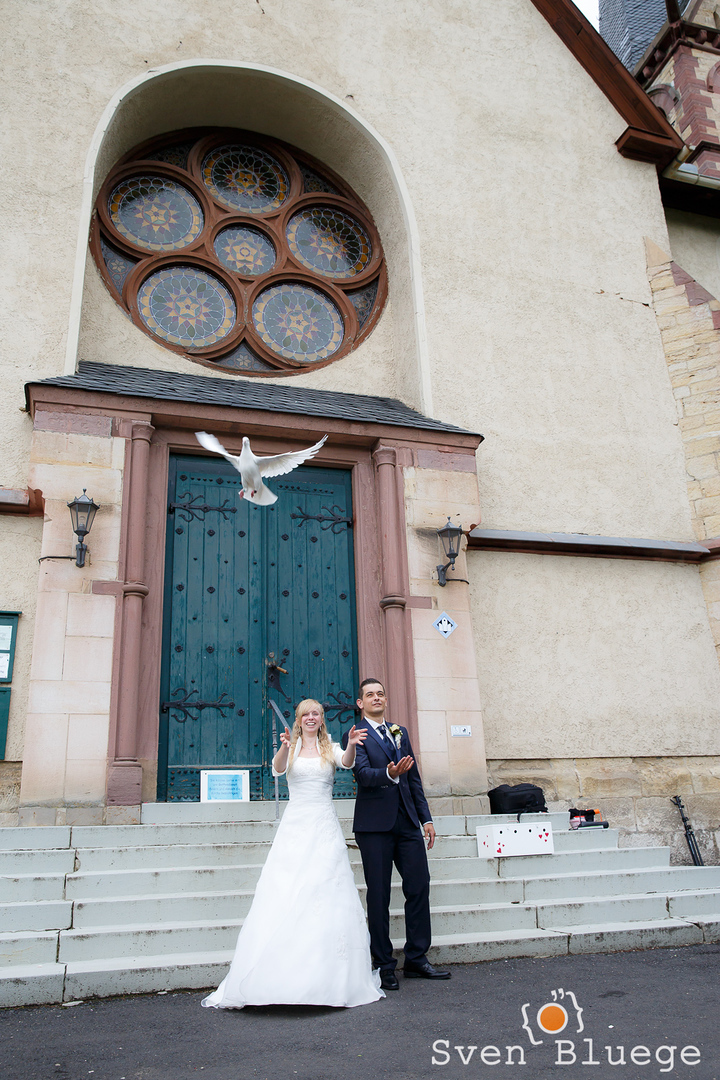 Ein Foto aus dem Album