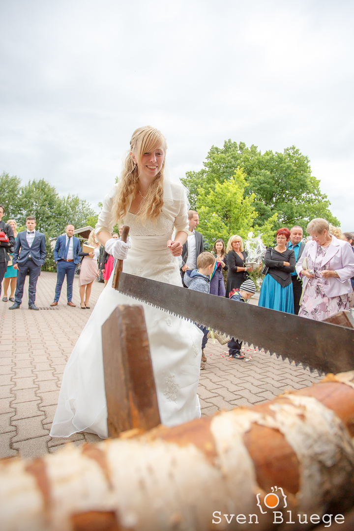 Ein Foto aus dem Album