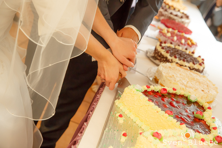 Ein Foto aus dem Album