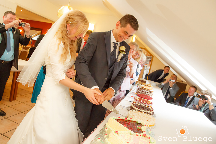 Ein Foto aus dem Album