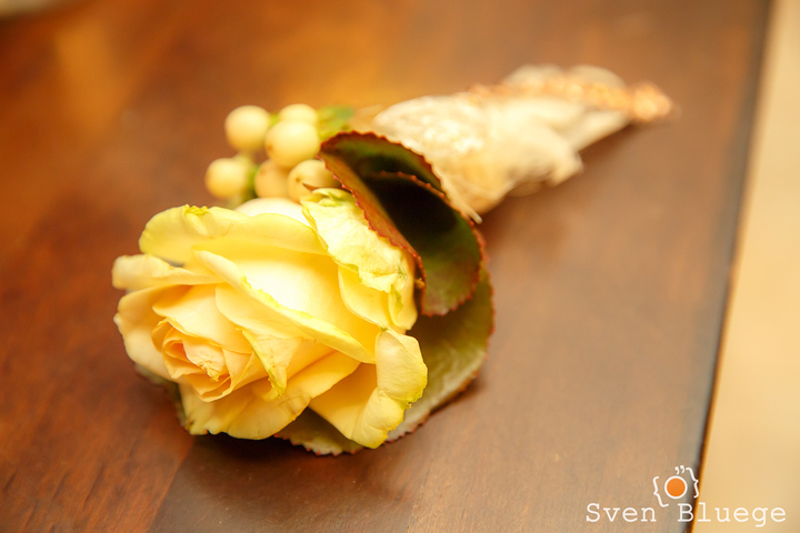 Ein Foto aus dem Album