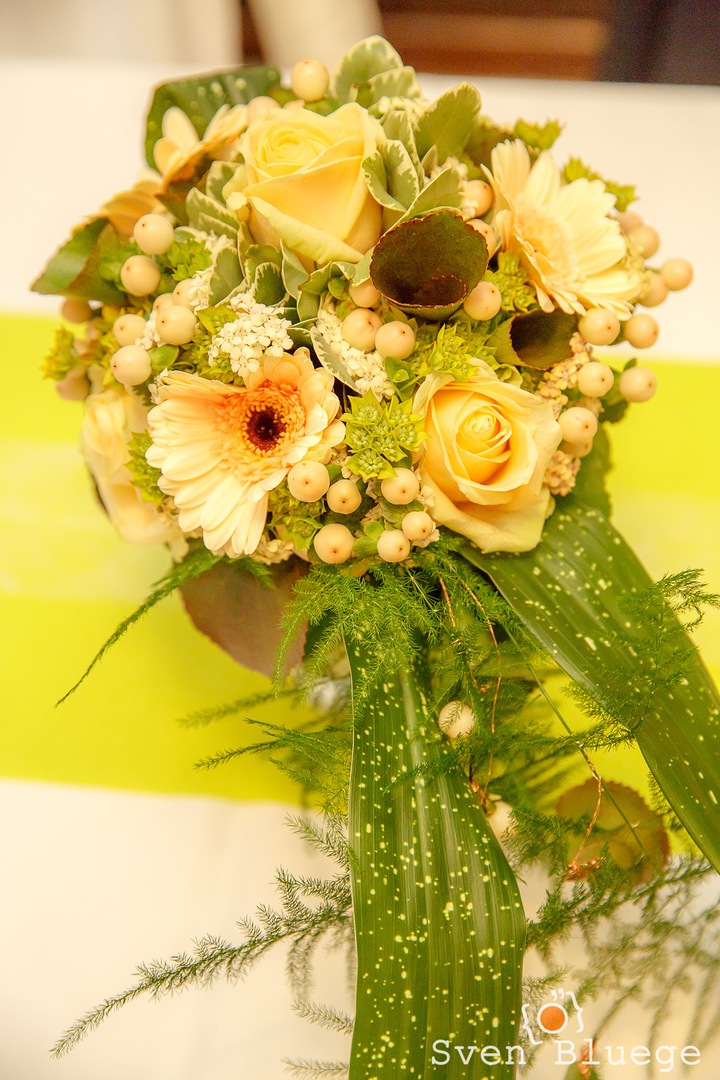 Ein Foto aus dem Album