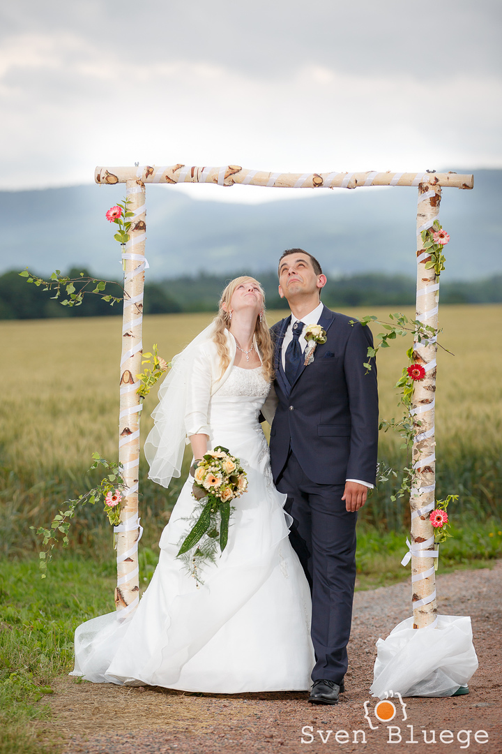 Ein Foto aus dem Album