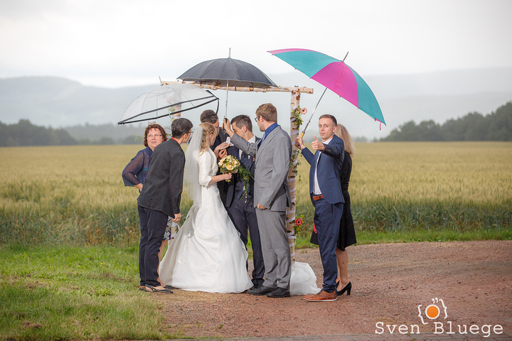 Ein Foto aus dem Album