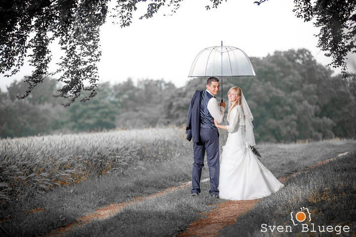 Ein Foto aus dem Album