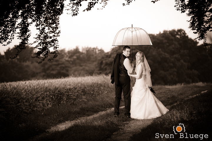 Ein Foto aus dem Album