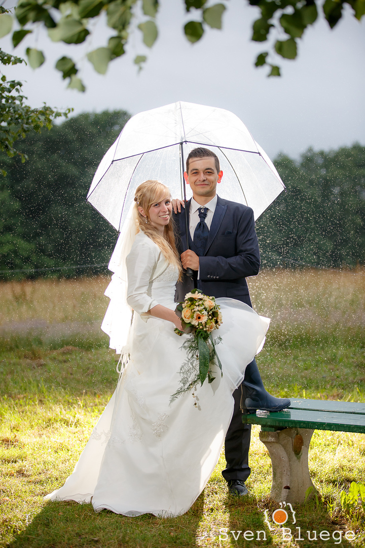 Ein Foto aus dem Album