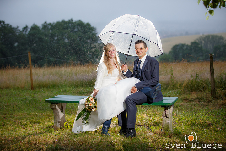 Ein Foto aus dem Album