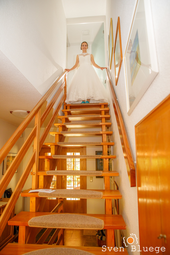 Ein Foto aus dem Album