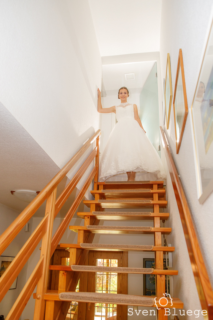 Ein Foto aus dem Album