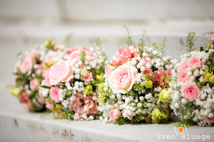 Ein Foto aus dem Album