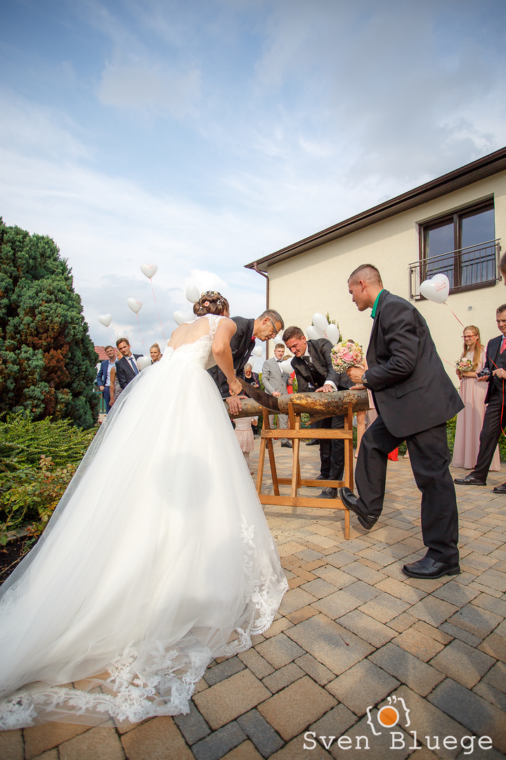 Ein Foto aus dem Album