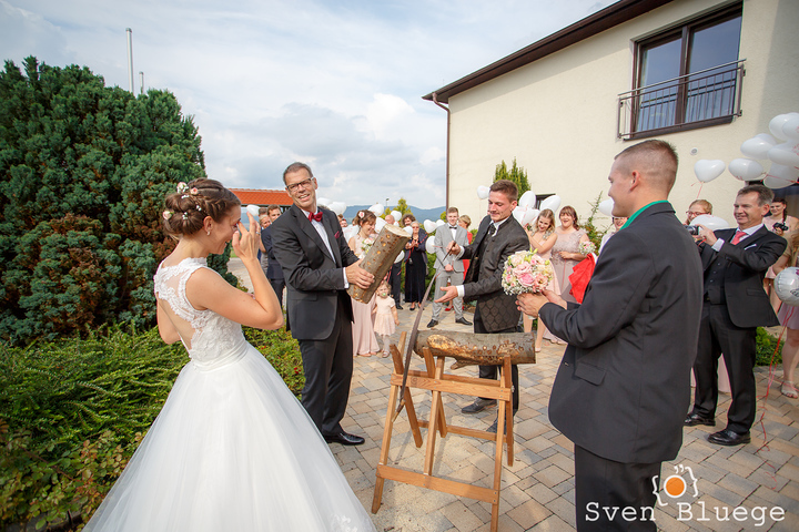 Ein Foto aus dem Album