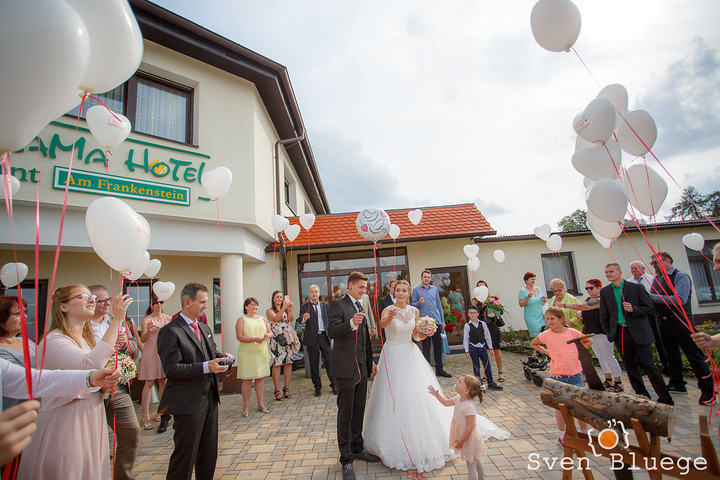 Ein Foto aus dem Album