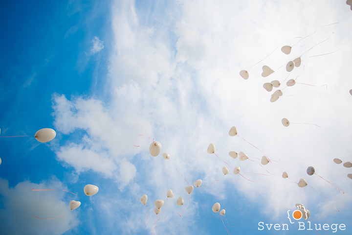 Ein Foto aus dem Album