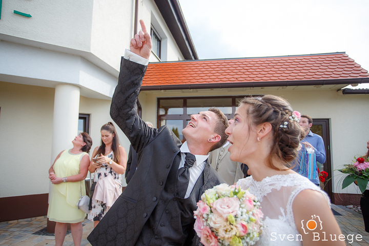 Ein Foto aus dem Album