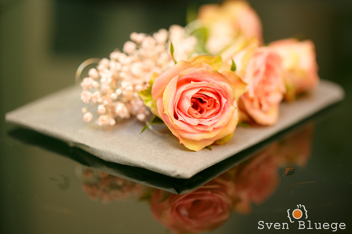 Ein Foto aus dem Album