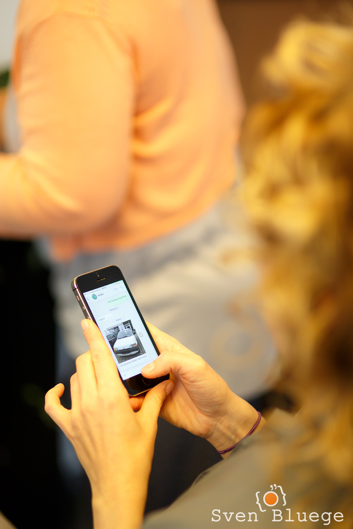 Ein Foto aus dem Album