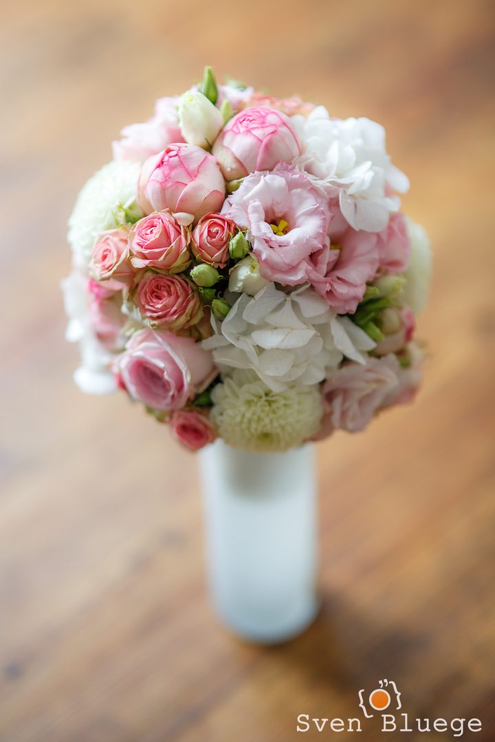 Ein Foto aus dem Album