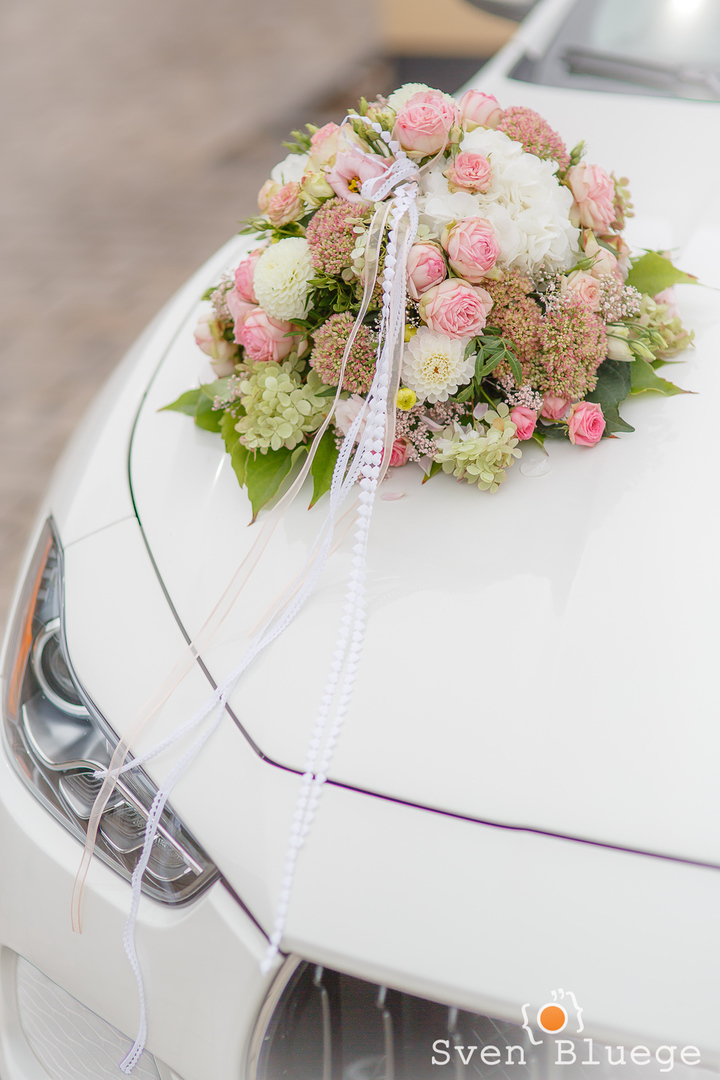 Ein Foto aus dem Album