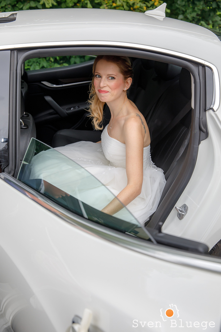 Ein Foto aus dem Album