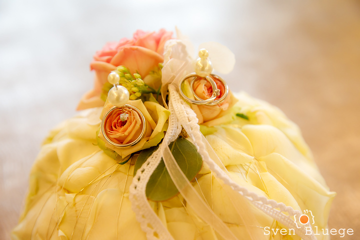 Ein Foto aus dem Album