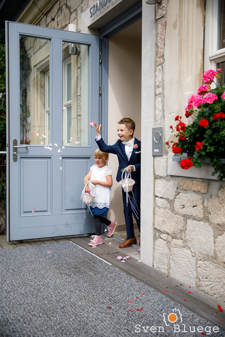 Ein Foto aus dem Album