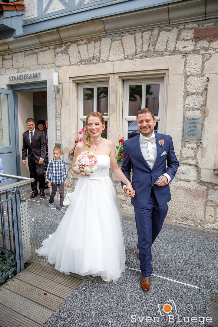 Ein Foto aus dem Album