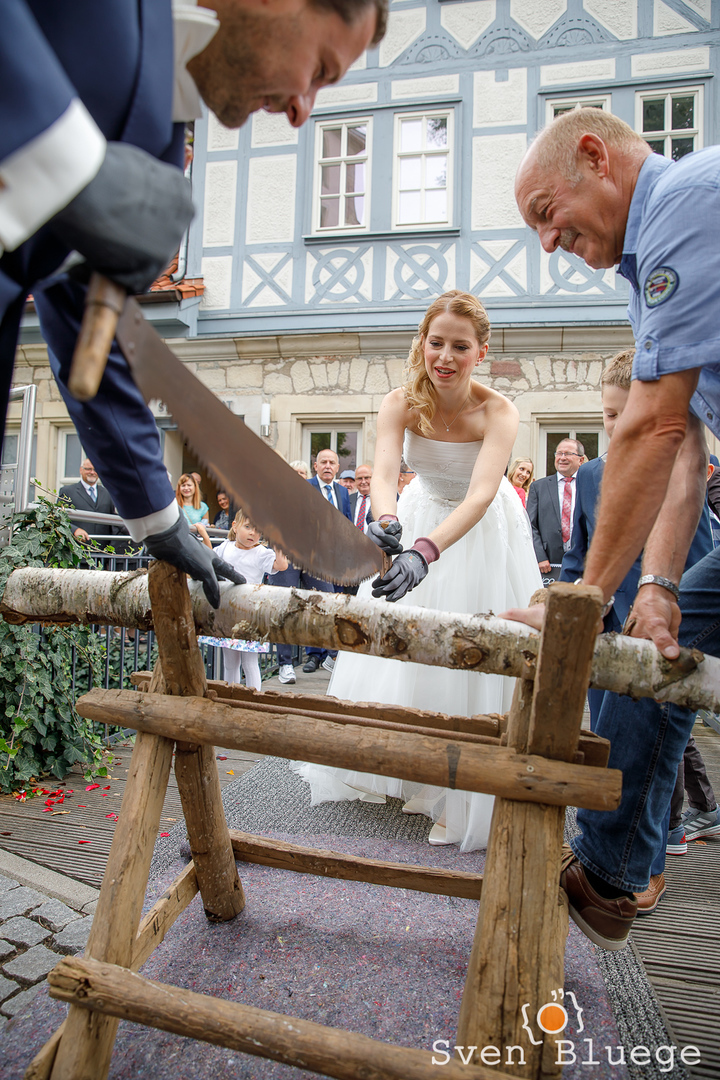 Ein Foto aus dem Album