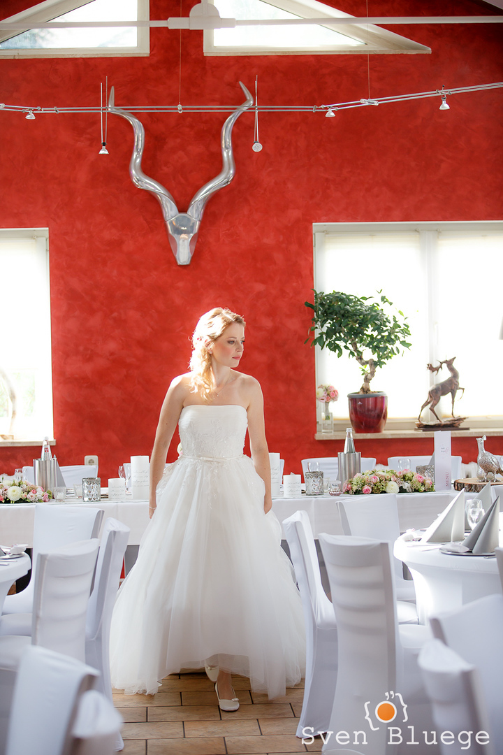 Ein Foto aus dem Album