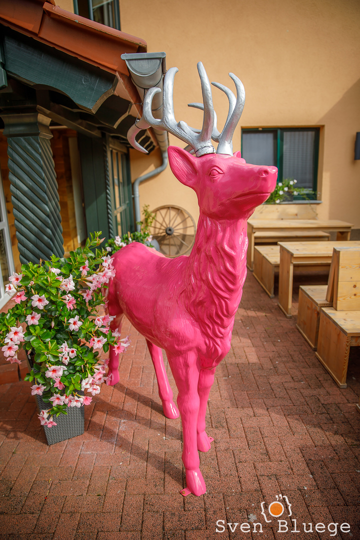 Ein Foto aus dem Album