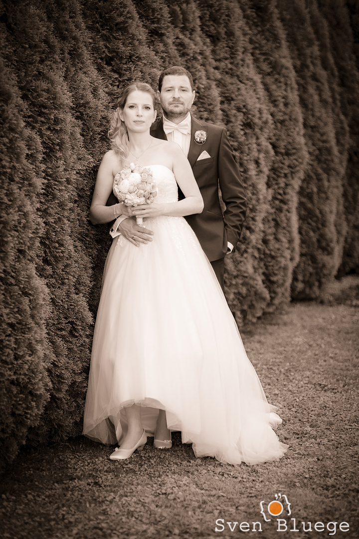 Ein Foto aus dem Album