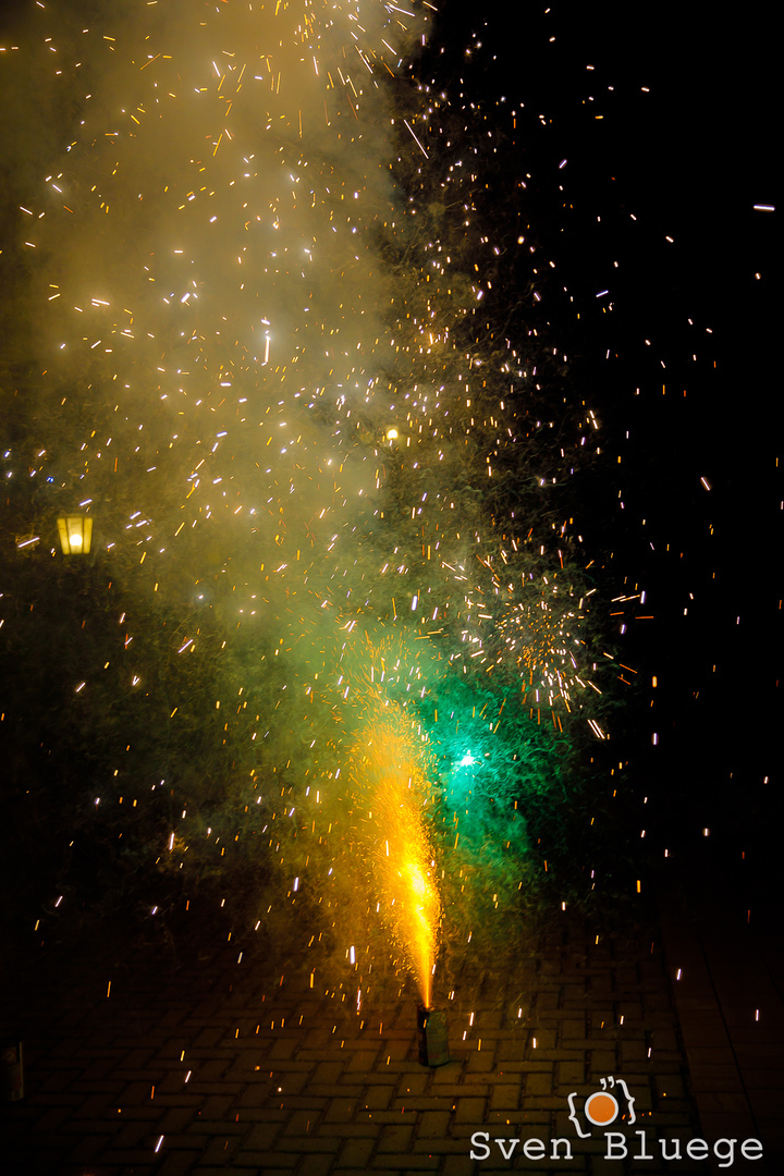 Ein Foto aus dem Album