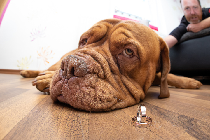 Ein Foto aus dem Album