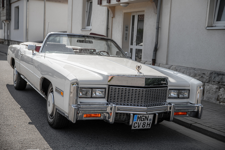 Ein Foto aus dem Album