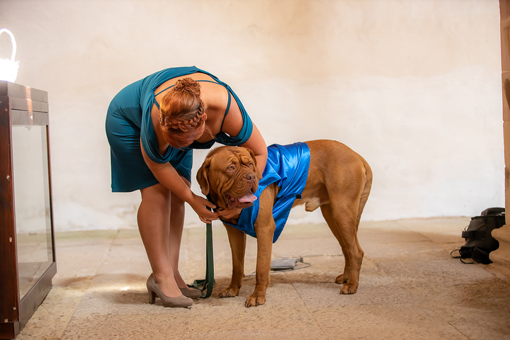 Ein Foto aus dem Album