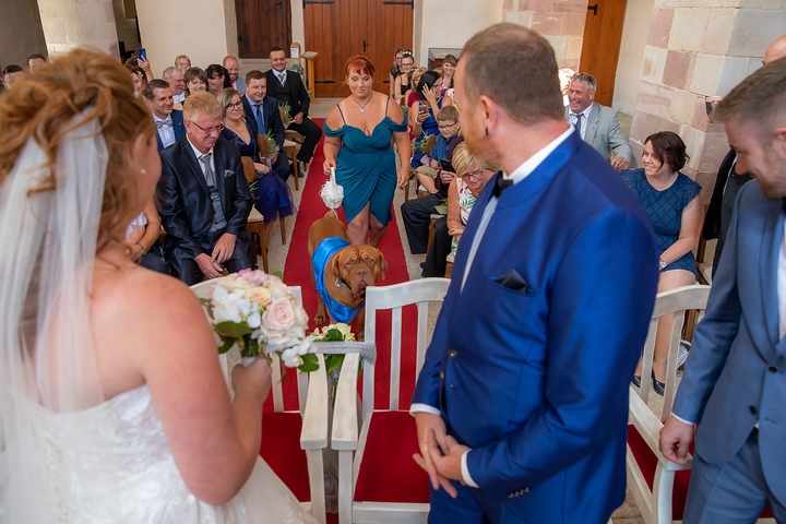 Ein Foto aus dem Album