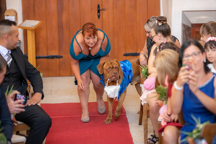 Ein Foto aus dem Album