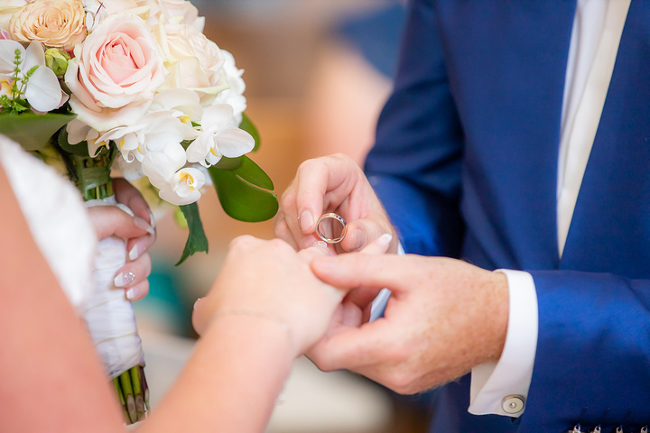 Ein Foto aus dem Album