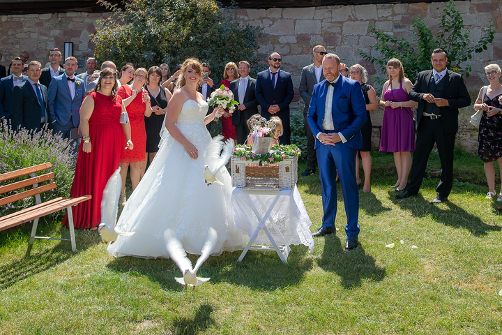 Ein Foto aus dem Album