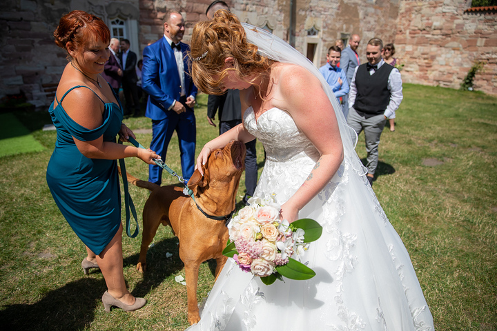 Ein Foto aus dem Album