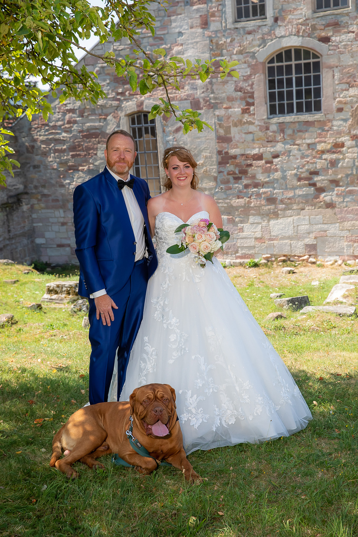 Ein Foto aus dem Album