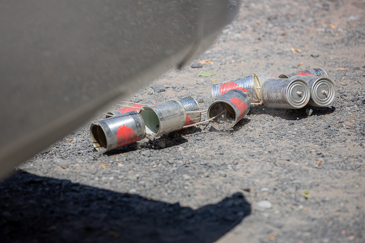 Ein Foto aus dem Album