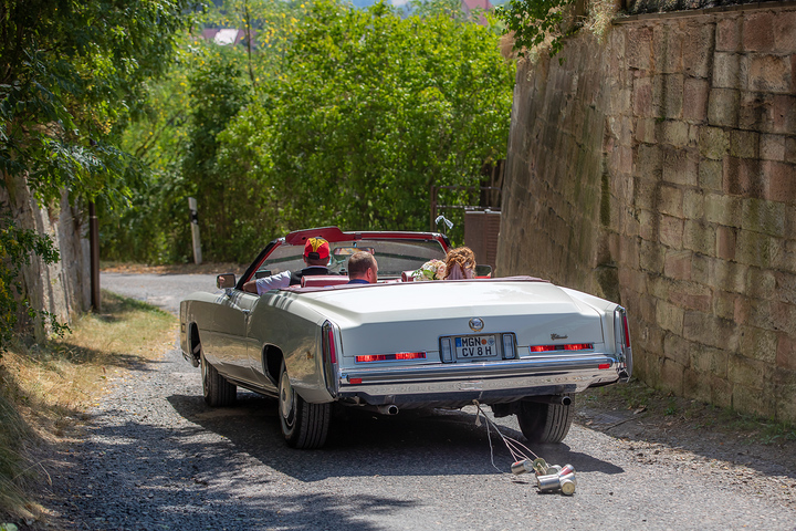 Ein Foto aus dem Album