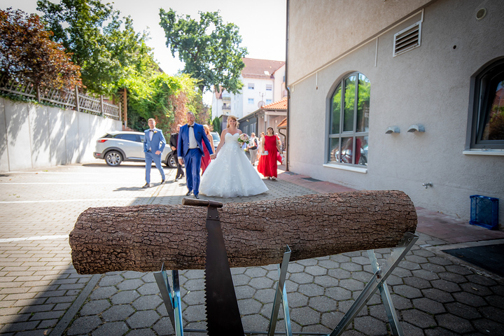 Ein Foto aus dem Album